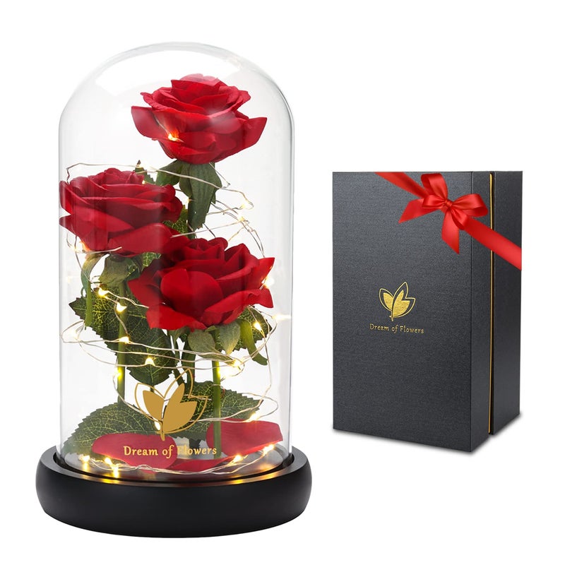Dream of Flowers هدايا عيد الحب لها، زينة عيد الحب، زهور روز الجمال والوحش مع 40 ضوء LED في قبة زجاجية، زهور روز المسحورة هدايا عيد الحب لعيد ميلاد النساء، صديقة، أم، زوجة - Image 1